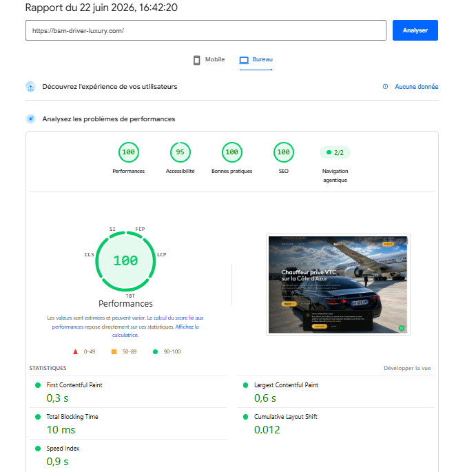 Google PageSpeed Insights — BSM Driver Luxury : Performance 100/100, SEO 100/100
