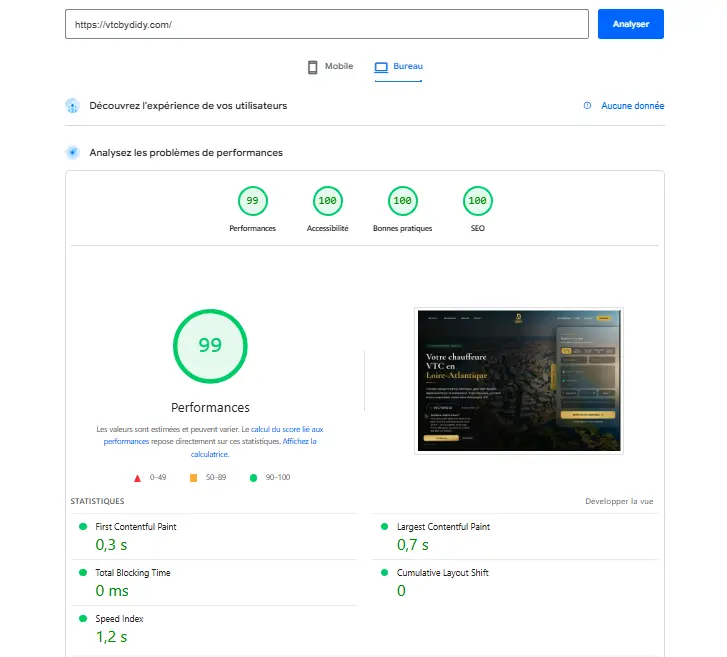 Google PageSpeed Insights — VTC By DiDy : SEO 100/100, Performance 99/100