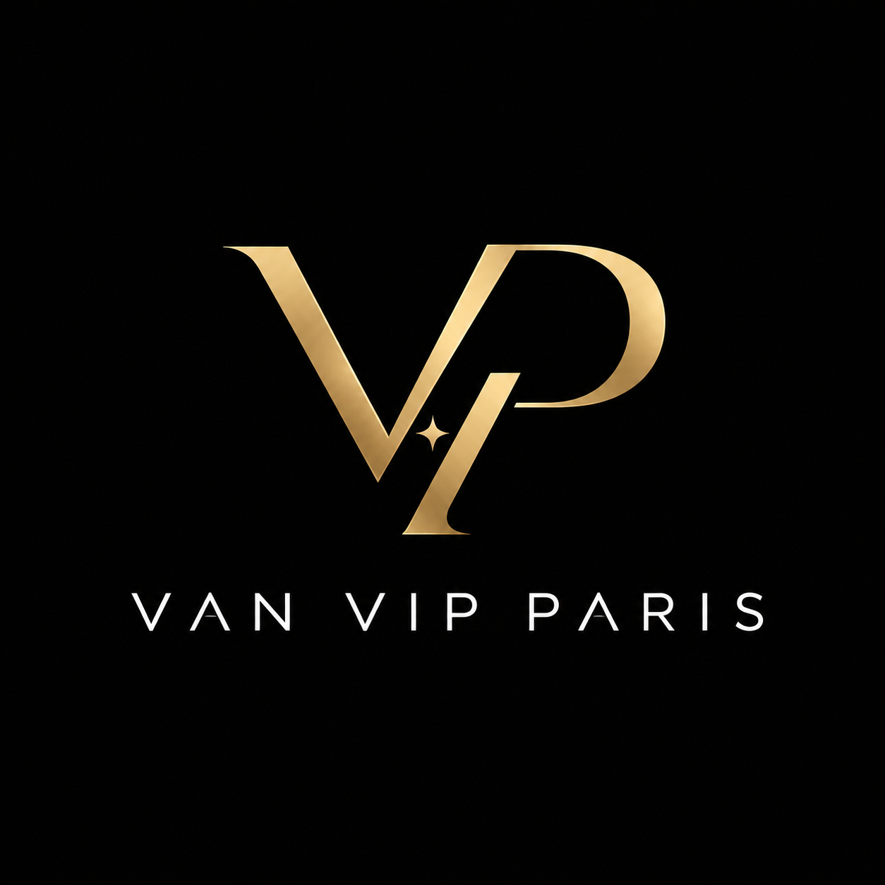 Logo Van VIP Paris