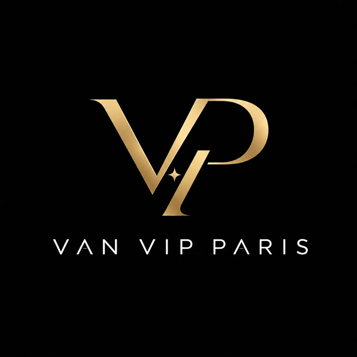 Logo Van VIP Paris